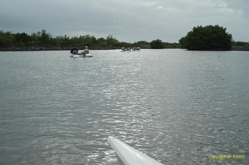 Guadeloupe : VTT des mers